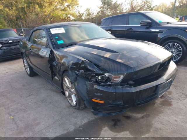 2010 FORD MUSTANG 1ZVBP8EN6A5124105