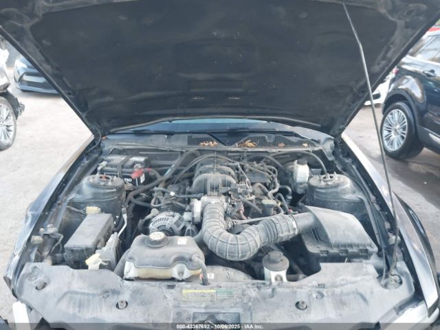 2010 FORD MUSTANG 1ZVBP8EN6A5124105 Photo 9