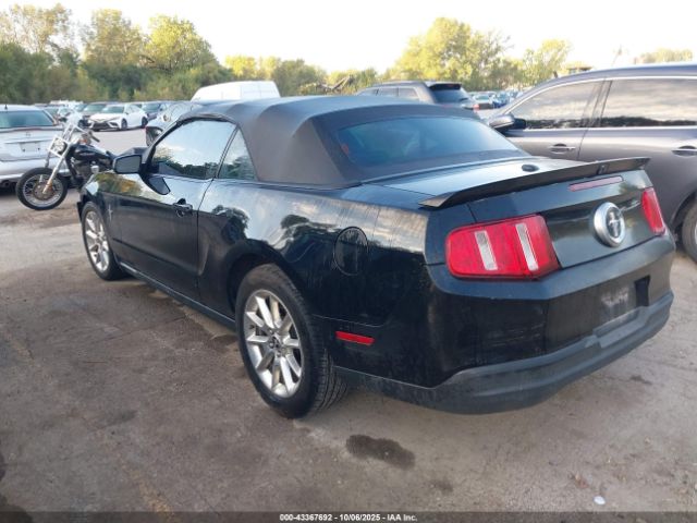 2010 FORD MUSTANG 1ZVBP8EN6A5124105 Photo 2