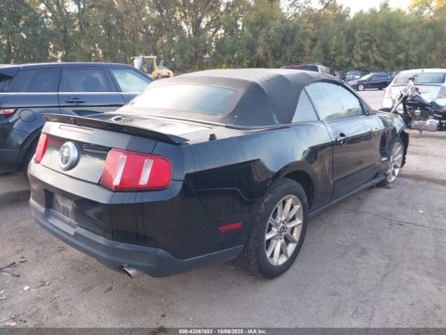 2010 FORD MUSTANG 1ZVBP8EN6A5124105 Photo 3