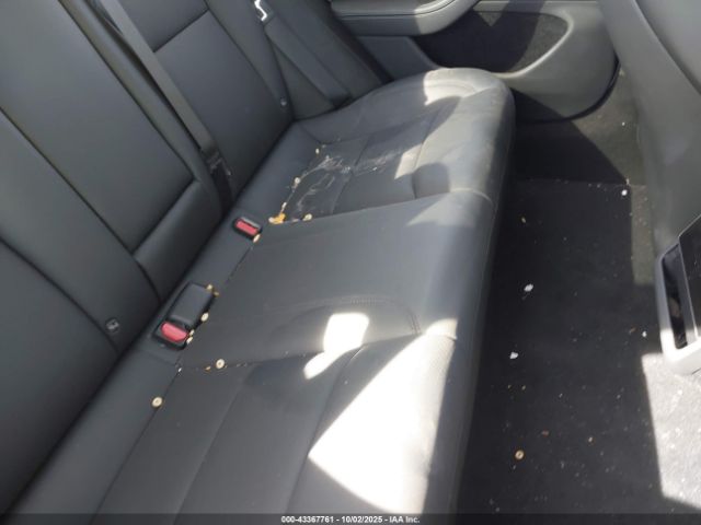 2024 TESLA MODEL 3 5YJ3E1EA6RF738437 Photo 7