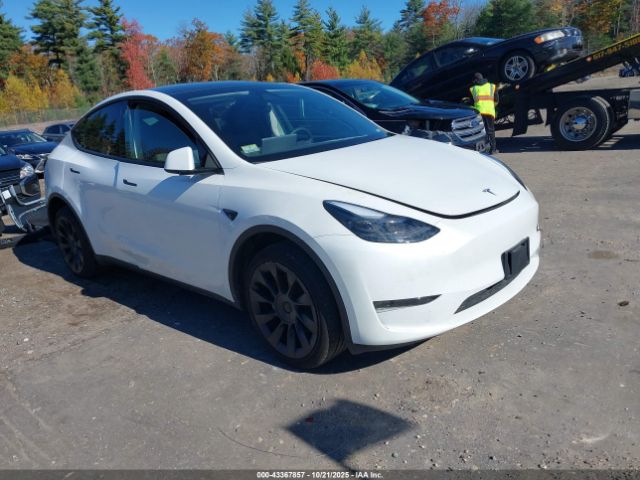 2024 TESLA MODEL Y 7SAYGDEE1RA257869 Photo 0