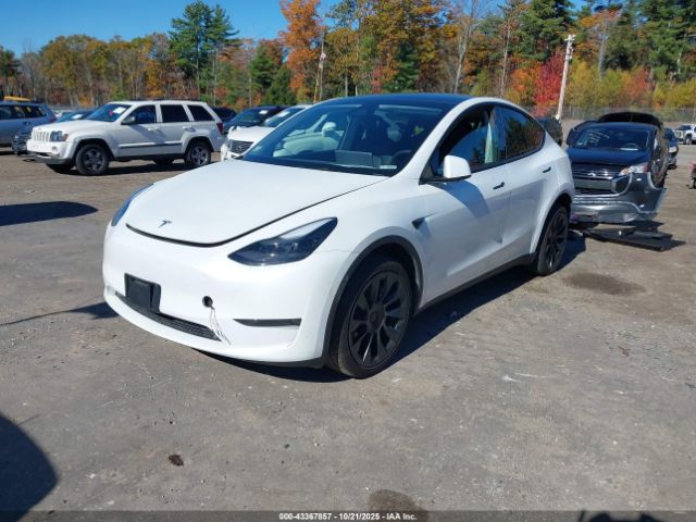 2024 TESLA MODEL Y 7SAYGDEE1RA257869 Photo 1