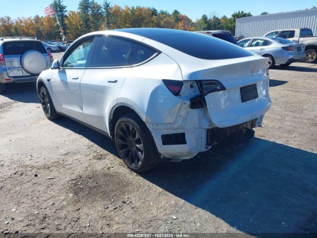 2024 TESLA MODEL Y 7SAYGDEE1RA257869 Photo 2