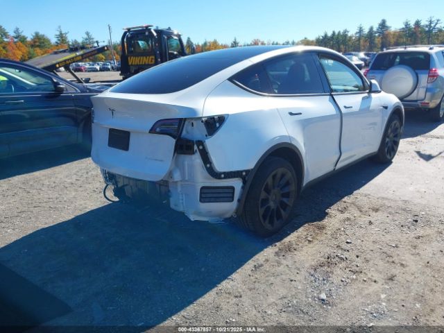 2024 TESLA MODEL Y 7SAYGDEE1RA257869 Photo 3