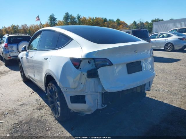 2024 TESLA MODEL Y 7SAYGDEE1RA257869 Photo 5
