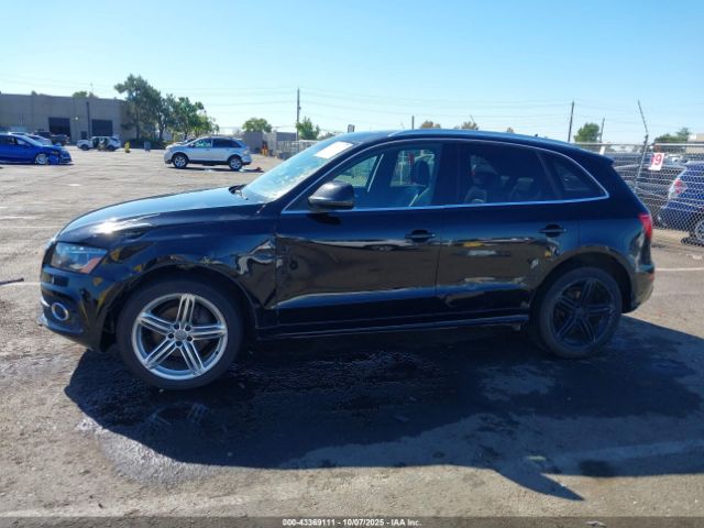 2010 AUDI Q5 WA1WKAFP8AA023403 Photo 5