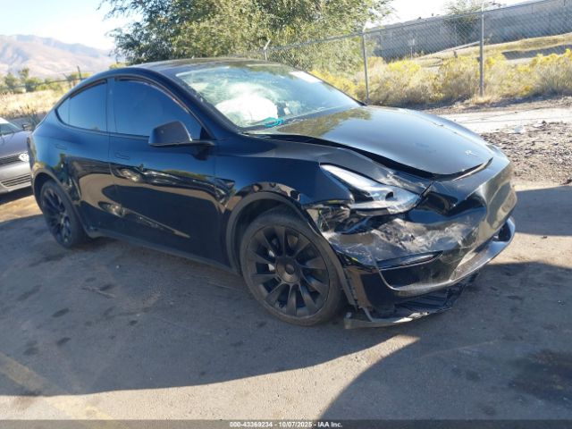 2023 TESLA MODEL Y 7SAYGAEE1PF911557 Photo 0
