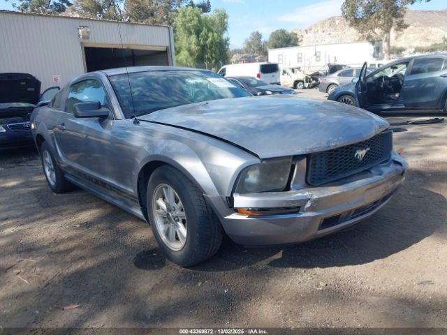 2006 FORD MUSTANG 1ZVFT80N265257293