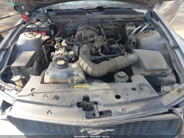 2006 FORD MUSTANG 1ZVFT80N265257293 Photo 9