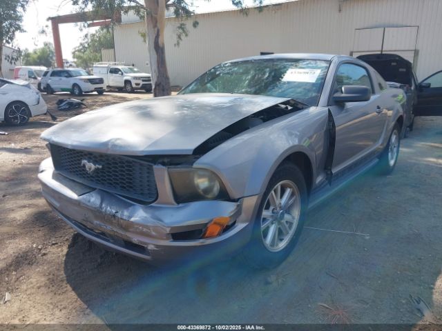 2006 FORD MUSTANG 1ZVFT80N265257293 Photo 1
