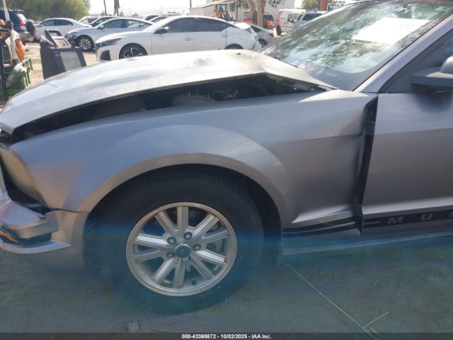 2006 FORD MUSTANG 1ZVFT80N265257293 Photo 5