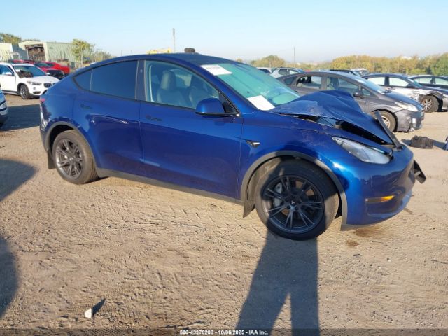 2024 TESLA MODEL Y 7SAYGDEE3RF160174 Photo 0