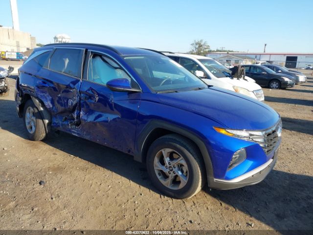 2024 HYUNDAI TUCSON 5NMJBCDE5RH319980