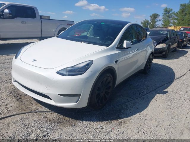 2021 TESLA MODEL Y 5YJYGAEE9MF193782 Photo 1
