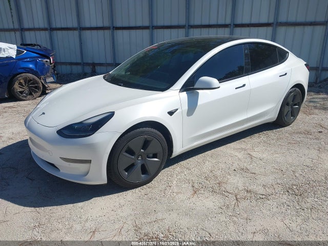 Tesla MODEL 3 2021 5YJ3E1EA0MF030239 Image 2