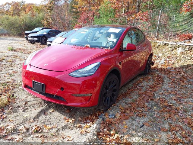 2020 TESLA MODEL Y 5YJYGDEE1LF036537 Photo 1