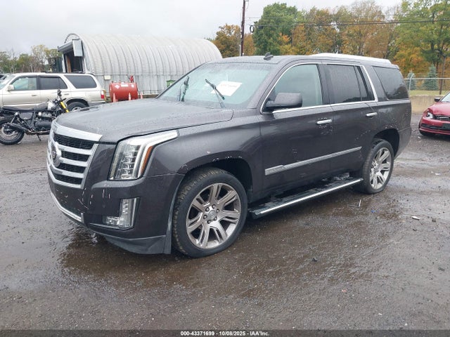 2015 CADILLAC ESCALADE 1GYS4CKJ7FR248460 Photo 1
