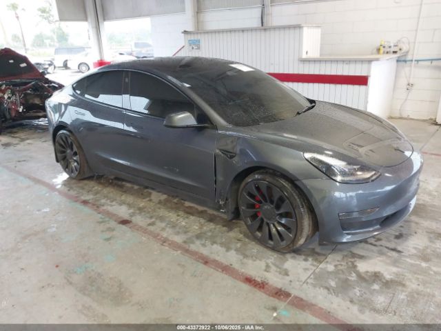 2023 TESLA MODEL 3 5YJ3E1ECXPF712261 Photo 0