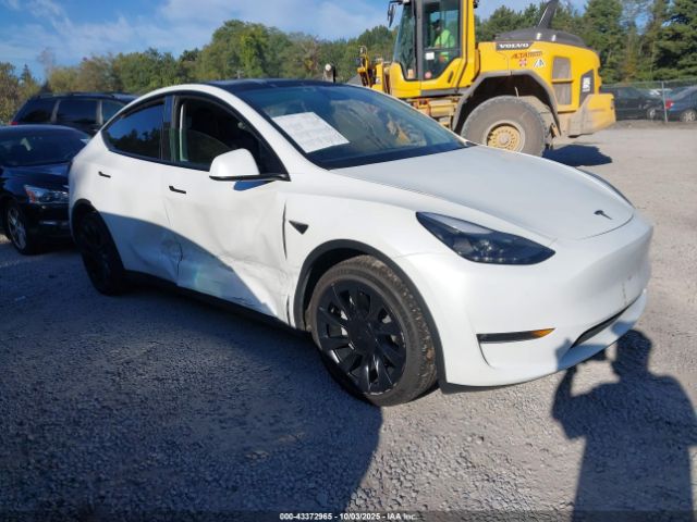2023 TESLA MODEL Y 7SAYGDEE4PF749862 Photo 0