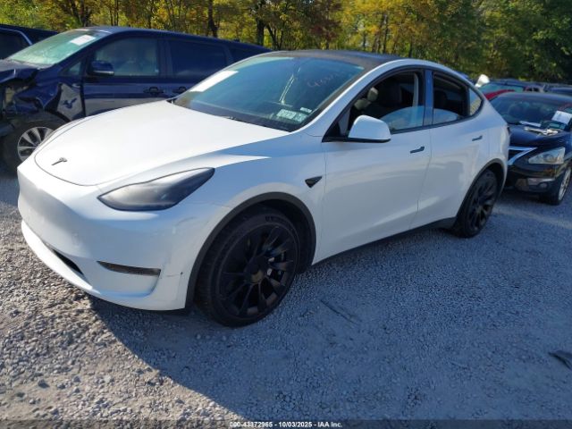 2023 TESLA MODEL Y 7SAYGDEE4PF749862 Photo 1