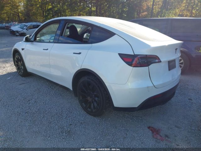 2023 TESLA MODEL Y 7SAYGDEE4PF749862 Photo 2