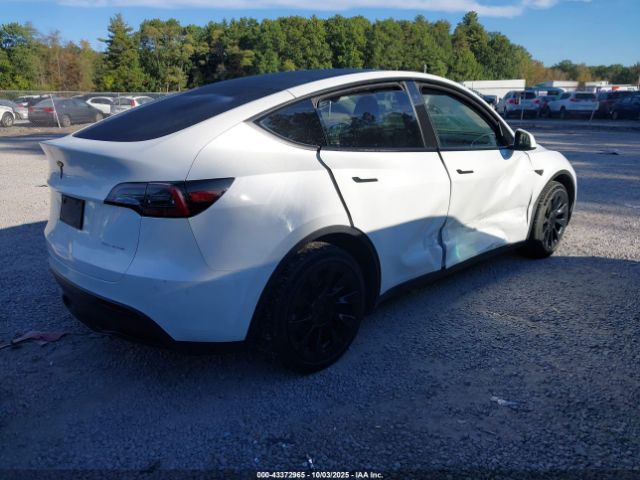 2023 TESLA MODEL Y 7SAYGDEE4PF749862 Photo 3