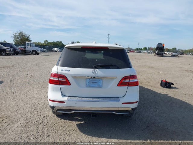 Mercedes-Benz Ml-Class 2015 4JGDA5JBXFA524203 Image 16