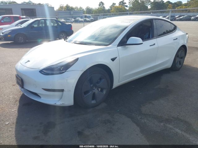 2023 TESLA MODEL 3 5YJ3E1EAXPF398559 Photo 1