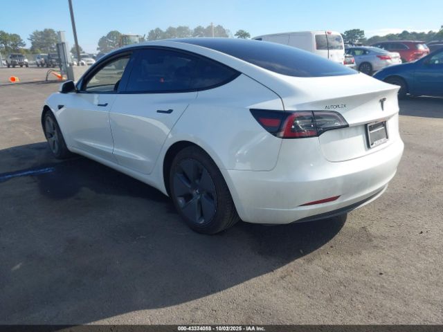 2023 TESLA MODEL 3 5YJ3E1EAXPF398559 Photo 2