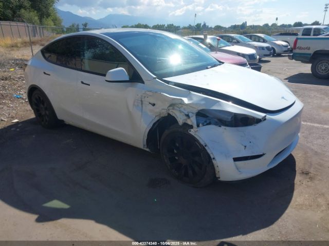 2023 TESLA MODEL Y 7SAYGAEE2PF787251 Photo 0