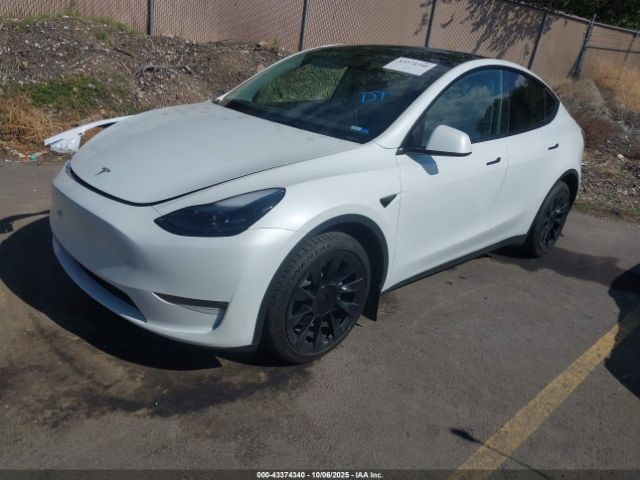 2023 TESLA MODEL Y 7SAYGAEE2PF787251 Photo 1