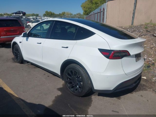 2023 TESLA MODEL Y 7SAYGAEE2PF787251 Photo 2