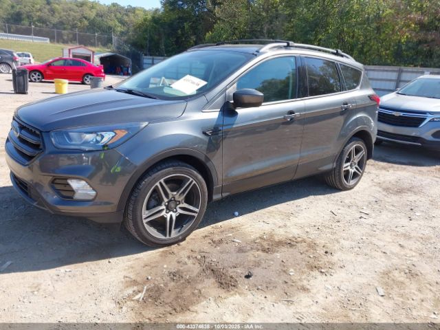 2019 FORD ESCAPE 1FMCU9HDXKUA94621 Photo 1