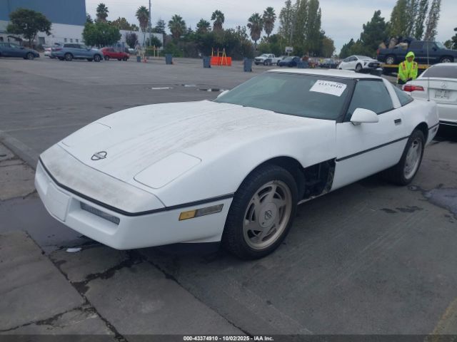 1989 CHEVROLET CORVETTE 1G1YY2184K5105389 Photo 1