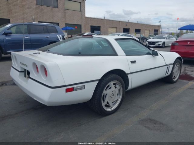 1989 CHEVROLET CORVETTE 1G1YY2184K5105389 Photo 3