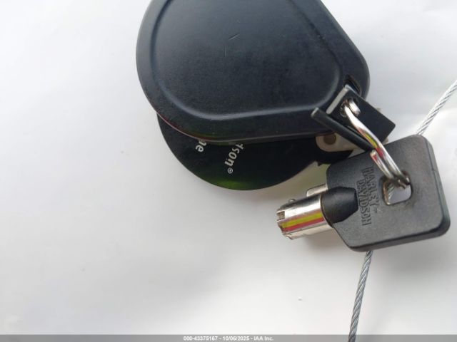 2019 HARLEY-DAVIDSON FLHR 1HD1FBC13KB680260 Photo 10