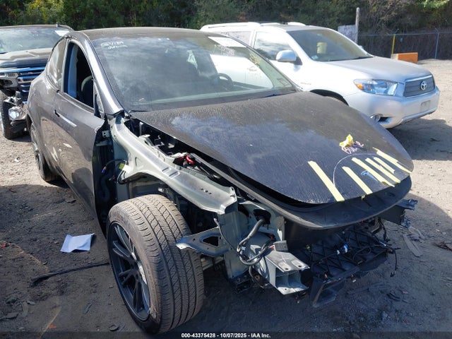 2024 TESLA MODEL Y 7SAYGDEE6RA299129 Photo 0