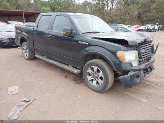 2010 FORD F-150 1FTEW1C89AKE48187