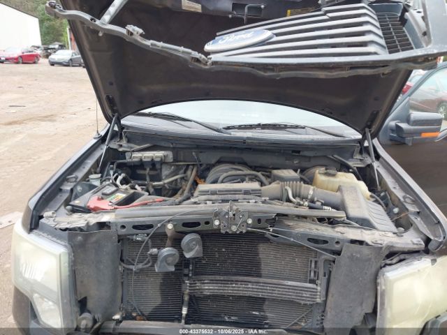 2010 FORD F-150 1FTEW1C89AKE48187 Photo 9