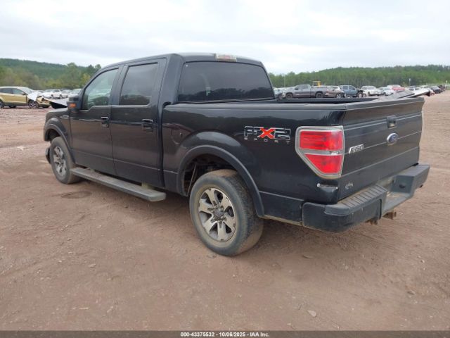 2010 FORD F-150 1FTEW1C89AKE48187 Photo 2