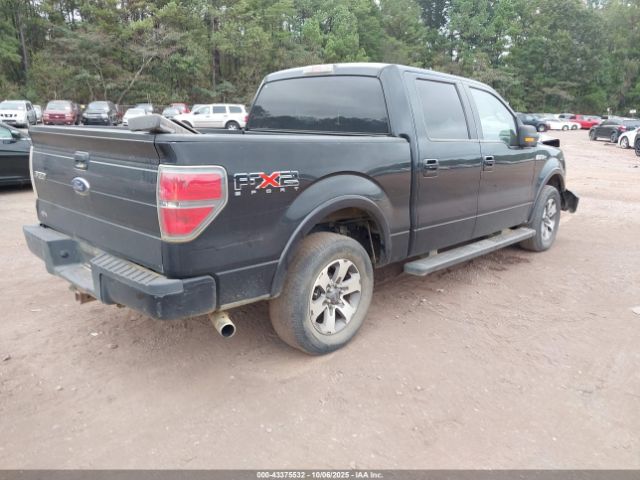 2010 FORD F-150 1FTEW1C89AKE48187 Photo 3