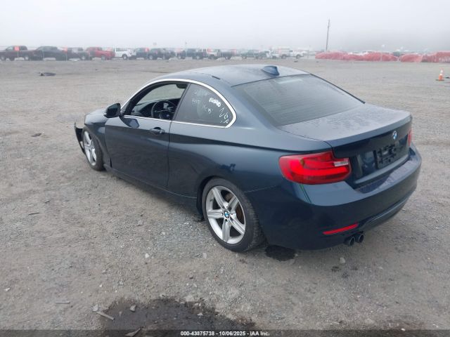 2017 BMW 230I WBA2H9C31HV642170 Photo 2