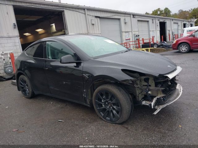 2023 TESLA MODEL Y 7SAYGDEE4PA178113