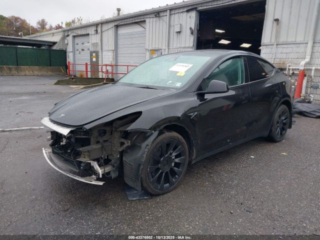 2023 TESLA MODEL Y 7SAYGDEE4PA178113 Photo 1