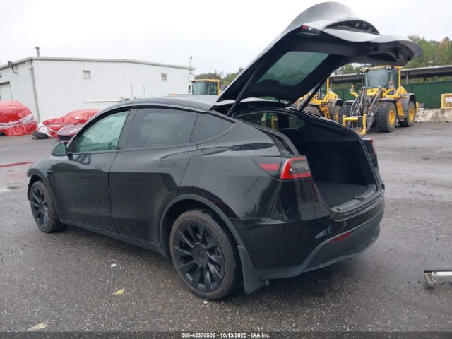 2023 TESLA MODEL Y 7SAYGDEE4PA178113 Photo 2
