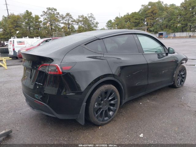 2023 TESLA MODEL Y 7SAYGDEE4PA178113 Photo 3