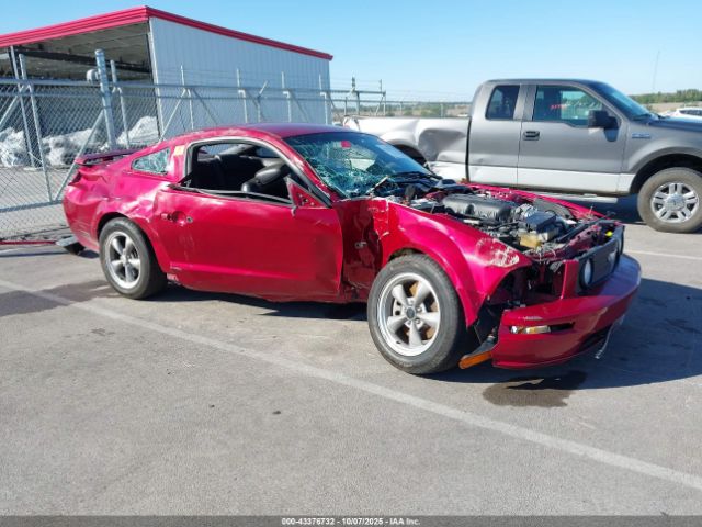 2005 FORD MUSTANG 1ZVFT82H455251551