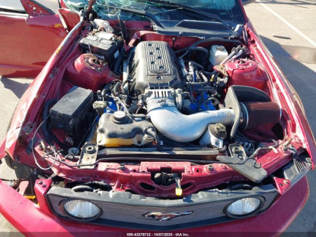 2005 FORD MUSTANG 1ZVFT82H455251551 Photo 9