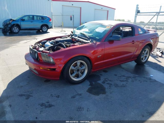 2005 FORD MUSTANG 1ZVFT82H455251551 Photo 1